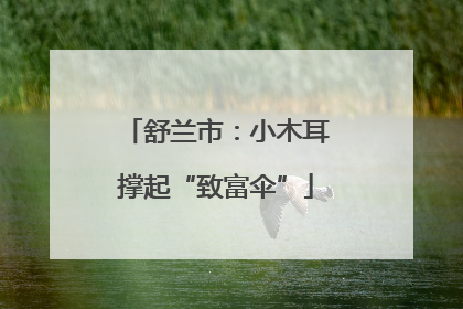 舒兰市：小木耳撑起“致富伞”