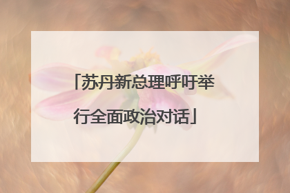 苏丹新总理呼吁举行全面政治对话