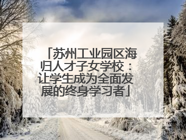 苏州工业园区海归人才子女学校：让学生成为全面发展的终身学习者