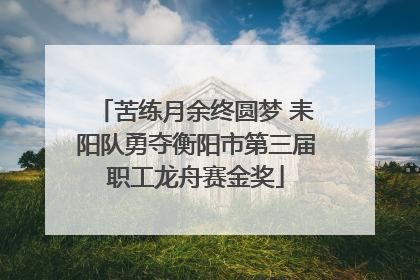 苦练月余终圆梦 耒阳队勇夺衡阳市第三届职工龙舟赛金奖