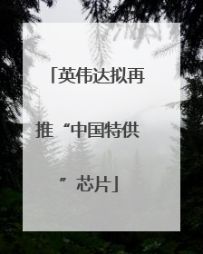 英伟达拟再推“中国特供”芯片