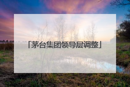 茅台集团领导层调整