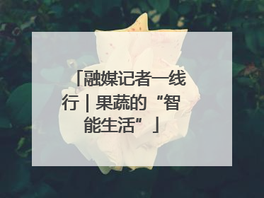 融媒记者一线行｜果蔬的“智能生活”