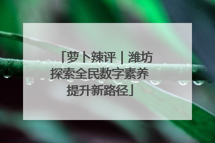 萝卜辣评｜潍坊探索全民数字素养提升新路径