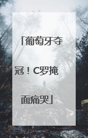 葡萄牙夺冠！C罗掩面痛哭