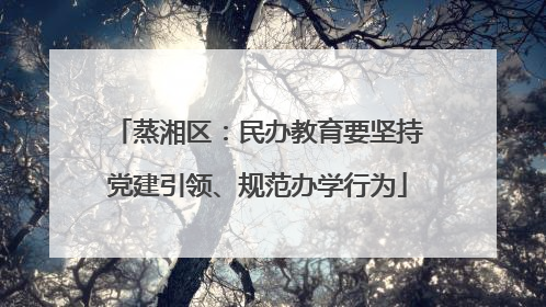 蒸湘区：民办教育要坚持党建引领、规范办学行为