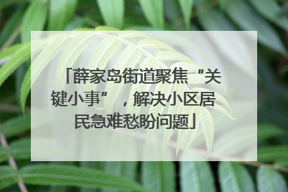 薛家岛街道聚焦“关键小事”，解决小区居民急难愁盼问题