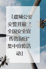 虞城公安交警开展“全国安全宣传咨询日”集中宣传活动