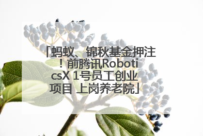 蚂蚁、锦秋基金押注！前腾讯RoboticsX 1号员工创业项目 上岗养老院
