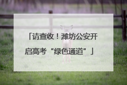 请查收！潍坊公安开启高考“绿色通道”