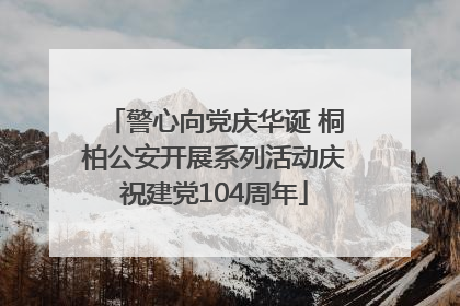 警心向党庆华诞 桐柏公安开展系列活动庆祝建党104周年
