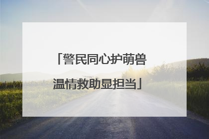 警民同心护萌兽 温情救助显担当