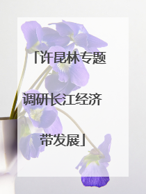 许昆林专题调研长江经济带发展