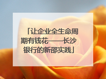 让企业全生命周期有钱花——长沙银行的新邵实践