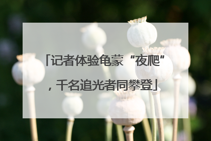 记者体验龟蒙“夜爬”，千名追光者同攀登