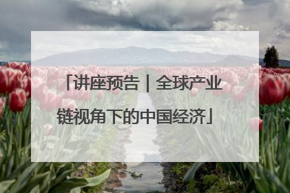 讲座预告｜全球产业链视角下的中国经济