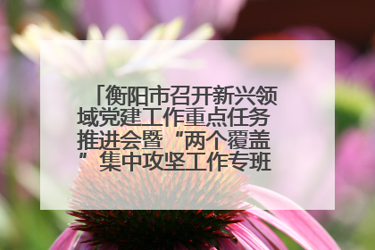 衡阳市召开新兴领域党建工作重点任务推进会暨“两个覆盖”集中攻坚工作专班 第一次会议
