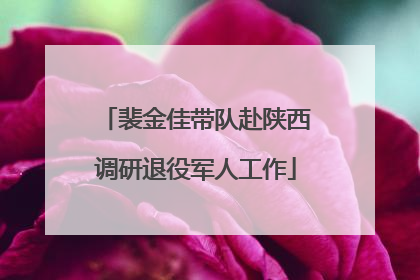 裴金佳带队赴陕西调研退役军人工作