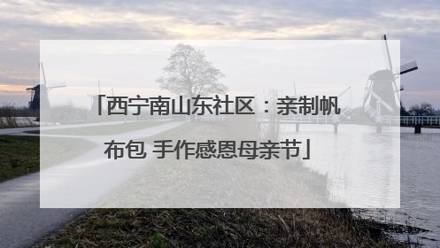 西宁南山东社区：亲制帆布包 手作感恩母亲节