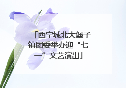 西宁城北大堡子镇团委举办迎“七一”文艺演出