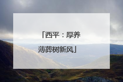 西平：厚养薄葬树新风