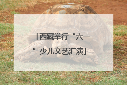 西藏举行“六一”少儿文艺汇演