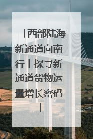 西部陆海新通道向南行丨探寻新通道货物运量增长密码