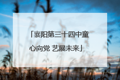 襄阳第三十四中童心向党 艺展未来