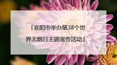 襄阳市举办第38个世界无烟日主题宣传活动