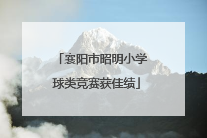 襄阳市昭明小学球类竞赛获佳绩