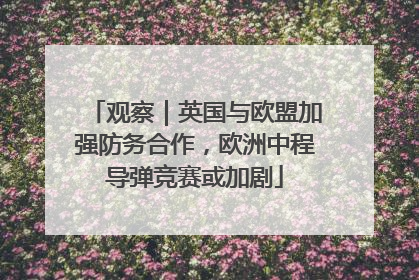 观察｜英国与欧盟加强防务合作，欧洲中程导弹竞赛或加剧