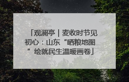 观澜亭｜麦收时节见初心：山东“晒粮地图”绘就民生温暖画卷