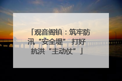 观音阁镇：筑牢防汛“安全堤” 打好抗洪“主动仗”