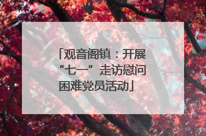 观音阁镇：开展“七一”走访慰问困难党员活动