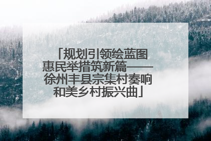 规划引领绘蓝图 惠民举措筑新篇——徐州丰县宗集村奏响和美乡村振兴曲