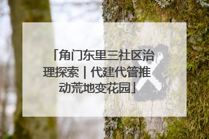 角门东里三社区治理探索｜代建代管推动荒地变花园