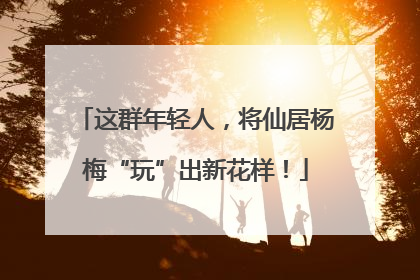 这群年轻人，将仙居杨梅“玩”出新花样！