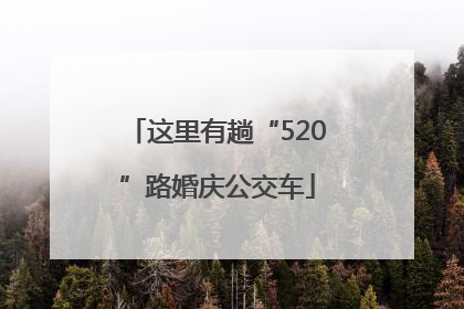 这里有趟“520”路婚庆公交车