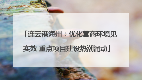 连云港海州：优化营商环境见实效 重点项目建设热潮涌动