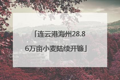 连云港海州28.86万亩小麦陆续开镰
