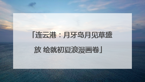 连云港：月牙岛月见草盛放 绘就初夏浪漫画卷