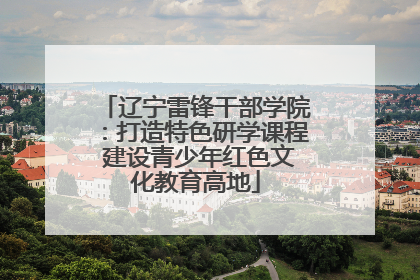 辽宁雷锋干部学院：打造特色研学课程 建设青少年红色文化教育高地
