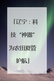 辽宁：科技“神器”为农田夏管护航