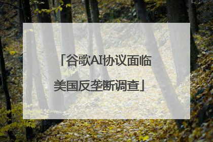 谷歌AI协议面临美国反垄断调查