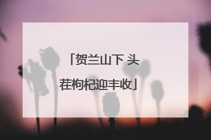 贺兰山下 头茬枸杞迎丰收