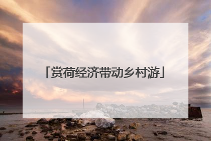 赏荷经济带动乡村游