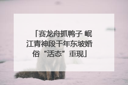 赛龙舟抓鸭子 岷江青神段千年东坡婚俗“活态”重现