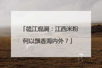 赣江观澜：江西米粉何以飘香海内外？