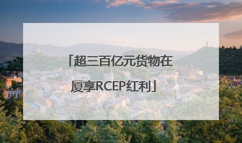 超三百亿元货物在厦享RCEP红利