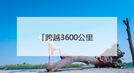 跨越3600公里的对话 西安-阿拉木图人文旅游交流周活动圆满落幕